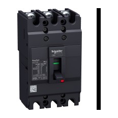 Schneider Electric EZC100F3080 — Moulded Case Circuit Breaker