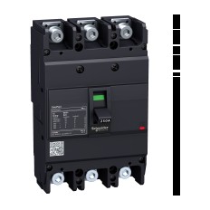 Schneider Electric EZC250N3125 — Moulded Case Circuit Breaker
