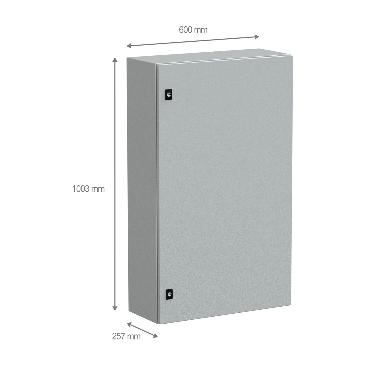 Schneider Electric NSYCRN106250 — PanelSeT CRN plain door enclosure H1000xW600xD250