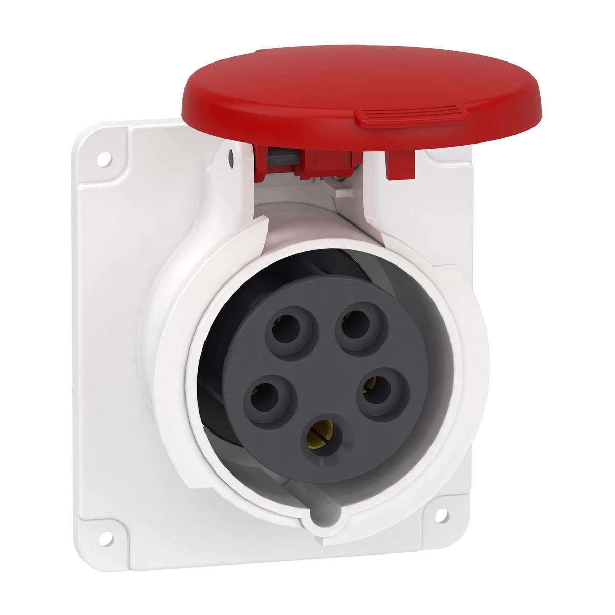 Schneider Electric PKF16G435 — Mureva industrial socket