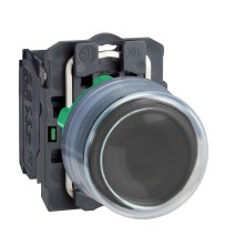 Schneider Electric XB5AP21 — Push-button