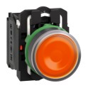 Schneider Electric XB5AW35B5 — Illuminated Push Button